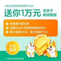 펫 고양 반려견 애견 냥이 깃털 이 스틱 자화자화 장대싸움 방울 깨물기 튼튼 아기 새끼 캣 그립, 30 주문 플랫폼 반려동물 보험 무료 혜택2개