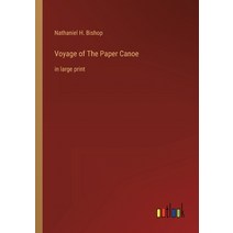 (영문도서) Voyage of The Paper Canoe: in large print Paperback, Outlook Verlag, English, 9783368307585