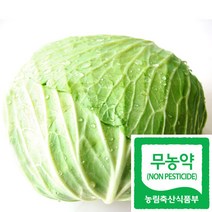 국산 친환경인증 무농약 양배추 1kg(반통~1통) 생식용, 중량, 6kg