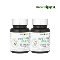 관절앤 N 아세틸 글루코사민 무릎 관절 연골 4개월분, 단품, 단품