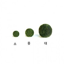 마리모 키우기 애완 반려 식물 LED DIY, LED 전구받침(컬러)