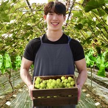 청년농부의 수출용 샤인머스켓, 1박스, 1kg(특등급/1-2수)