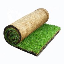 테라스 잔디 천연잔디 켄터키블루 롤잔디 무토잔디 매트잔디, 천연 양잔디 (150cm x 65cm)