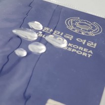 신여권 투명여권 케이스 반투명 여권커버 파우치