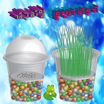 개구리알 물잔디키우기 (1인용)