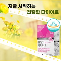 식약처 인증 체지방 감소 다이어트 보조제 가르시니아 60정 급찐살 복부 피하 뱃살 제지방 감소 HCA 탄수화물 컷팅제 플러스 비타민 알약케이스 증정, (6개월분) 60정 x 6박스