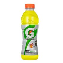 게토레이 레몬 600ml x 20PET, 8개