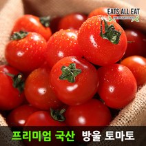 이츠올릿 방울 토마토 가정용 5kg 못난이 찰 단 토마토