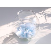 둥근어항 세트 낮은어항 격리통 구피키우기 네온테트라 베타물고기 다이소어항 물멍 각시붕어 베타침대 치어통, 벚꽃핑크