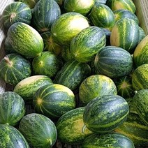 기타 올해첫수확 산지직송 경북고령 성산메론 파파야메론 2kg(3~6개내외), 단품