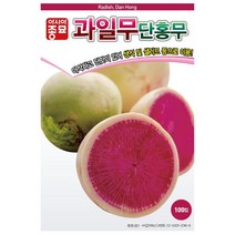 무씨앗종자 단홍무 과일무 100립 asa, 100개