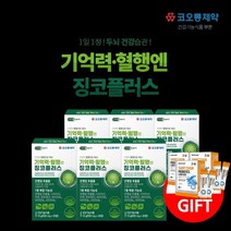 두뇌 머리 기억력 집중력 혈행 감퇴 억제 관리 개선 에 좋은 은행잎 징코 ginko 추출물 보조 영양제 중년 노년 여성 남성 (사은품 증정), 6BOX(6개월분)+사은품3개