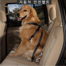 잔량덤핑 훈련 차량 애완견 자동차 강아지 안전벨트, 핑크