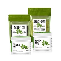 인도네시아산 모링가 100% 가루 분말 환 (금속이물합격 국가기관통관인증), 2 모링가 분말 500g (팩)