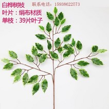 스티커 조립 인조대나무 조경 행인플렌트 발 가림막, [실크 천 자작 나무 잎]