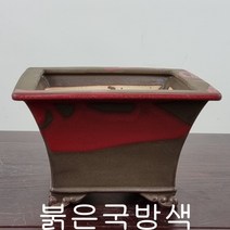 27. 손바닥정원 사각현애(대) 분재화분 승전분, 붉은색