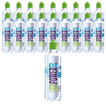 파워오투 애플키위맛 500ml 18개