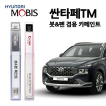 현대 모비스 싼타페 TM 카페인트 자동차 붓펜 M2F NKA PDW R2F ST2 T2X WW2, M2F(395)-마그네틱포스