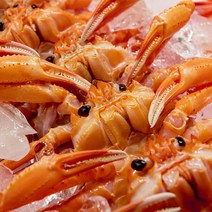 포항 구룡포 당일조업 자숙 연지홍게 10마리 3kg