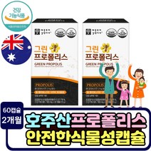 고함량 그린 프로폴리스 항산화 작용 면역에 좋은 영양제 기능성 인증 플라보노이드 propolis 건강기능식품 호주산 화분 칼슘 세포산화억제 환절기 가족 건강관리 항산화제 추천