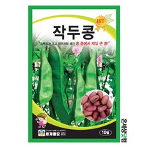 작두콩 10립/ 작두콩 씨앗 종자 주말농장 베란다텃밭