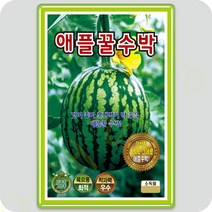 애플수박 씨앗 10립 KS 수박씨앗