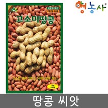 고소미 땅콩 씨앗 30g