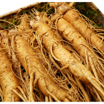 [세척] 전세계인정 국내산 금산인삼 정품 인삼 5년근 6년근 수삼 난발삼 원수삼 가족 보양식 원기회복 부모님 건강 선물 인삼주 삼계탕 인삼꿀절임 담금주, 세척 난발삼특대 750g(7~8뿌리), 1개