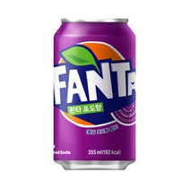 환타 포도 355ml/ 20캔, 상세페이지 참조