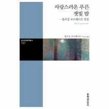 사랑스러운 푸른 잿빛 밤 157 대산세계문학총서, 상품명