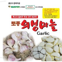 2023년도 마늘 통마늘 한지형 의성마늘 햇마늘 +10톨 덤, 1개, 의성씨마늘 중품 2.5kg 약 80-100개