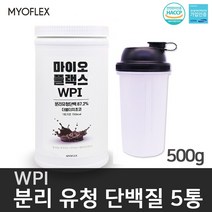 분리유청단백질 분말 류신 농축 포대 유청가루 WPI 매일 마시는 락토프리 단백질 보충제 프로틴 파우더 쉐이크 필수아미노산 BCAA 여성 남성 쵸코맛 식약처인증 HACCP, 5개, 500g