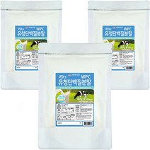 대용량 유청단백질 프로틴 파우더 보충제, 3개, 500g