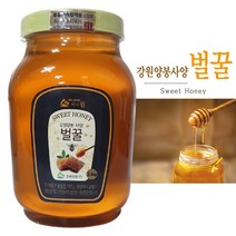 강원양봉 사양벌꿀 대용량 꿀B_PET 2.4kg