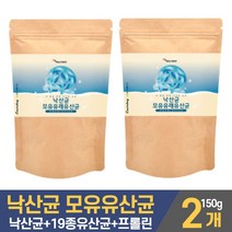 낙산균 분말 가루 유산균 낙산 균 미야이리 뷰티르산 프로바이오틱스 신바이오틱스 프롤린 모유유산균 가세리 루테리 플란타룸 19종유산균 마시는 먹는 파우더 남성 여성, 2개, 150g