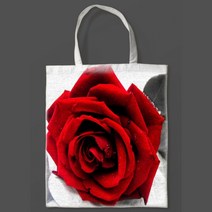 그림 에코백 프린트 여성가방 장미꽃 FW-019