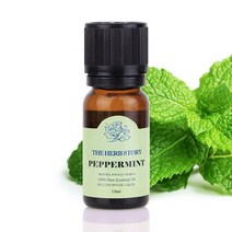 페퍼민트 아로마테라피 마사지 에센셜 오일 12ml - 2022975EA, 쿠팡 1, 쿠팡 본상품선택