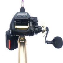 전동릴 배터리 밧데리 2022 보트 트롤링 전기 낚시 릴은 shimano 및 daiwa, 없음