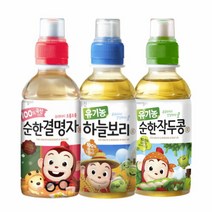 웅진식품 [웅진식품] 어린이 차음료 200ml x 20페트(유기농 하늘보리/작두콩차/결명자차 중 택1), 유기농 작두콩차