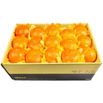 농장직송 고당도 레드향 3kg 5kg 10kg, 1박스, 레드향 10kg 왕특대(24~37과)