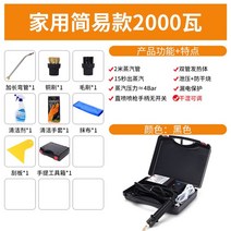 스팀 해빙기 청소기 가정용 세차 동파 배관 얼음 녹이기 고온 고압 보일러 에어컨 수도 융해 휴대용 스팀청소기, 2000w 블랙