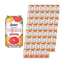 썬키스트 자몽소다 355ml 48개 정품