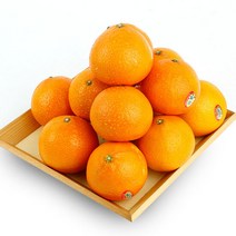 [제주향기] 탐나는 황금향 3kg(10-12내), 단품