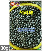 백작두콩 씨앗 10립 - 작두콩 작두콩씨앗 작두콩씨 콩씨앗 콩씨 씨 주말농장 텃밭, 17_서리태콩(30g)