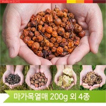 건강차 건조 탱자 산사 사과락 헛개열매 마가목 200g, 산사(12UB), 1개