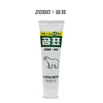 곰표치약 120g 4개 세트 2080 뉴샤이닝화이트치약 북극곰치약 토코페롤아세테이트 치주염 치은염, 2세트