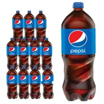 펩시콜라 팹시콜라 1.25Lx12병 탄산음료 (업소용), 1, 쿠팡 본상품선택, 1.25L