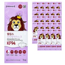 웰킵스뉴스마트황사마스크 KF94(대형), 1개, 25매