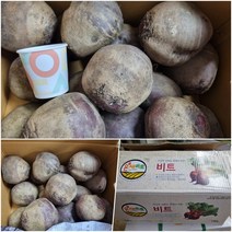야과몰 흙냄새 가득 국내산 진짜 비트 (중) 새벽 경매 후 발송, 3kg