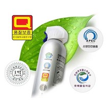 스프레이형 차량용 소화기 가정용 비상용 전기 자동 차량 화재 거치대 포함, 소형실버255ML, 1개